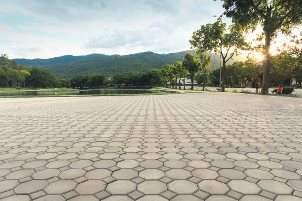 Best Professional Driveway Pavers  in Fulton, MD